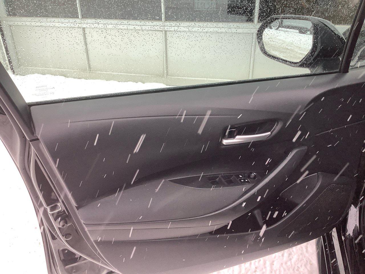 2020 Toyota Corolla  Photo