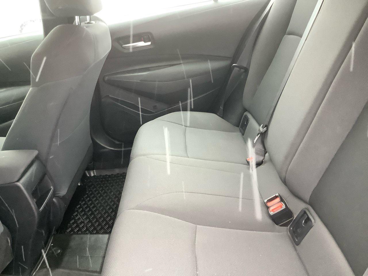 2020 Toyota Corolla  Photo