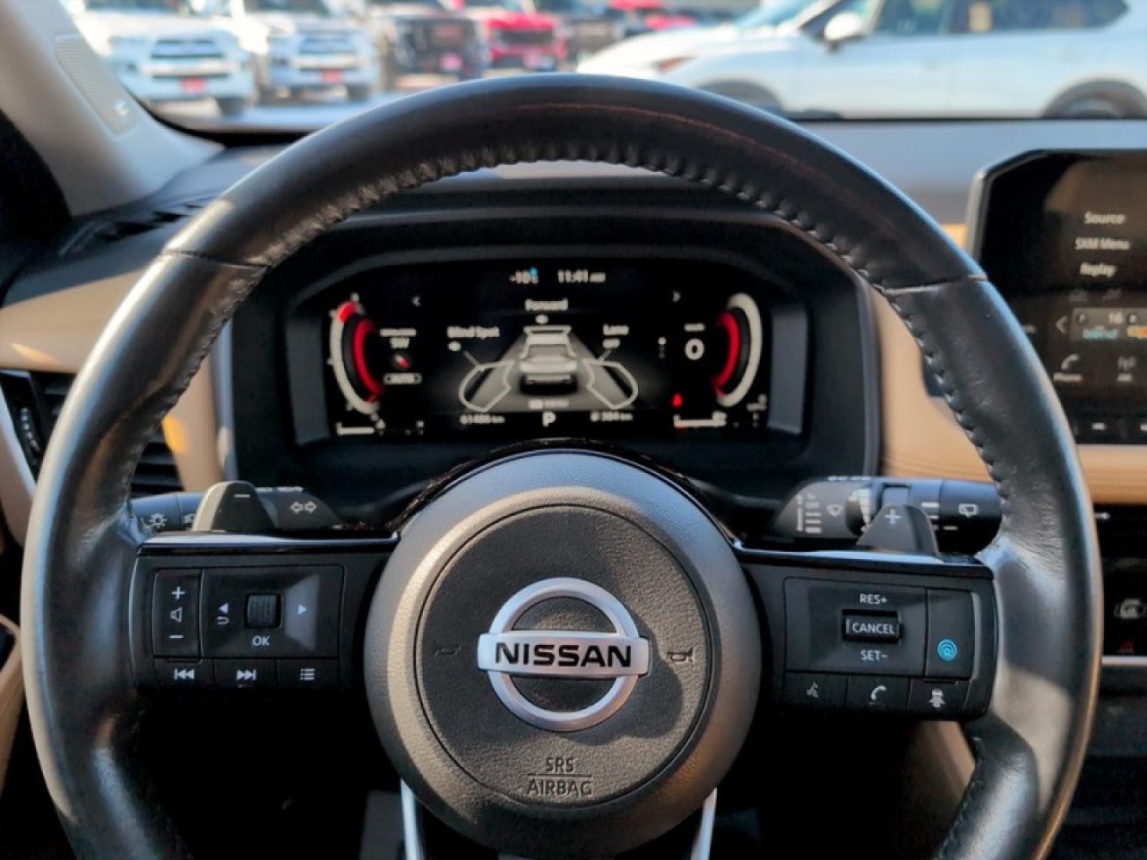 2021 Nissan Rogue Platinum Photo