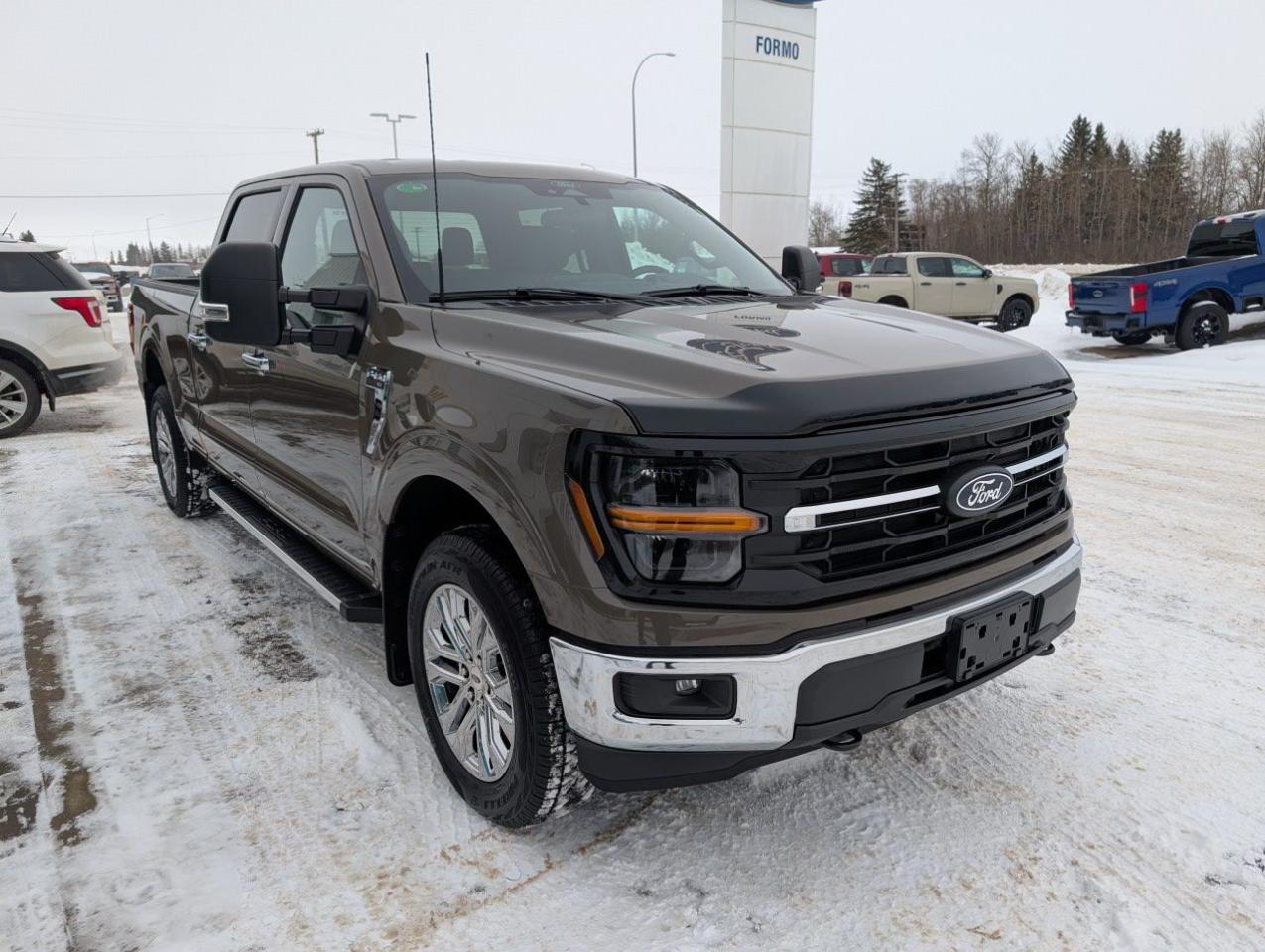 2026 Ford F-150 XLT Photo3