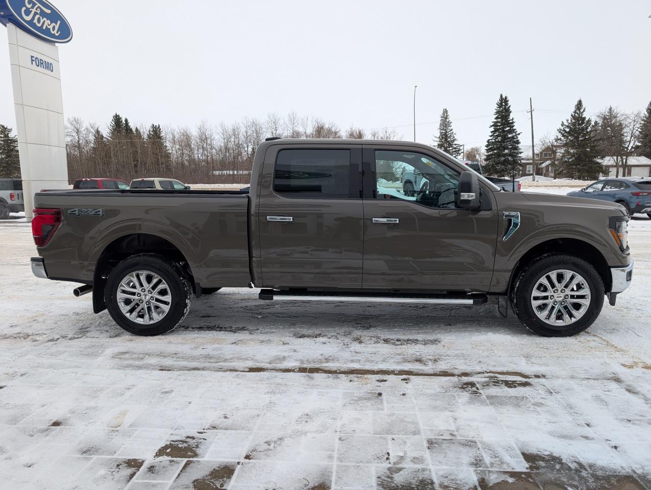 2026 Ford F-150 XLT Photo4