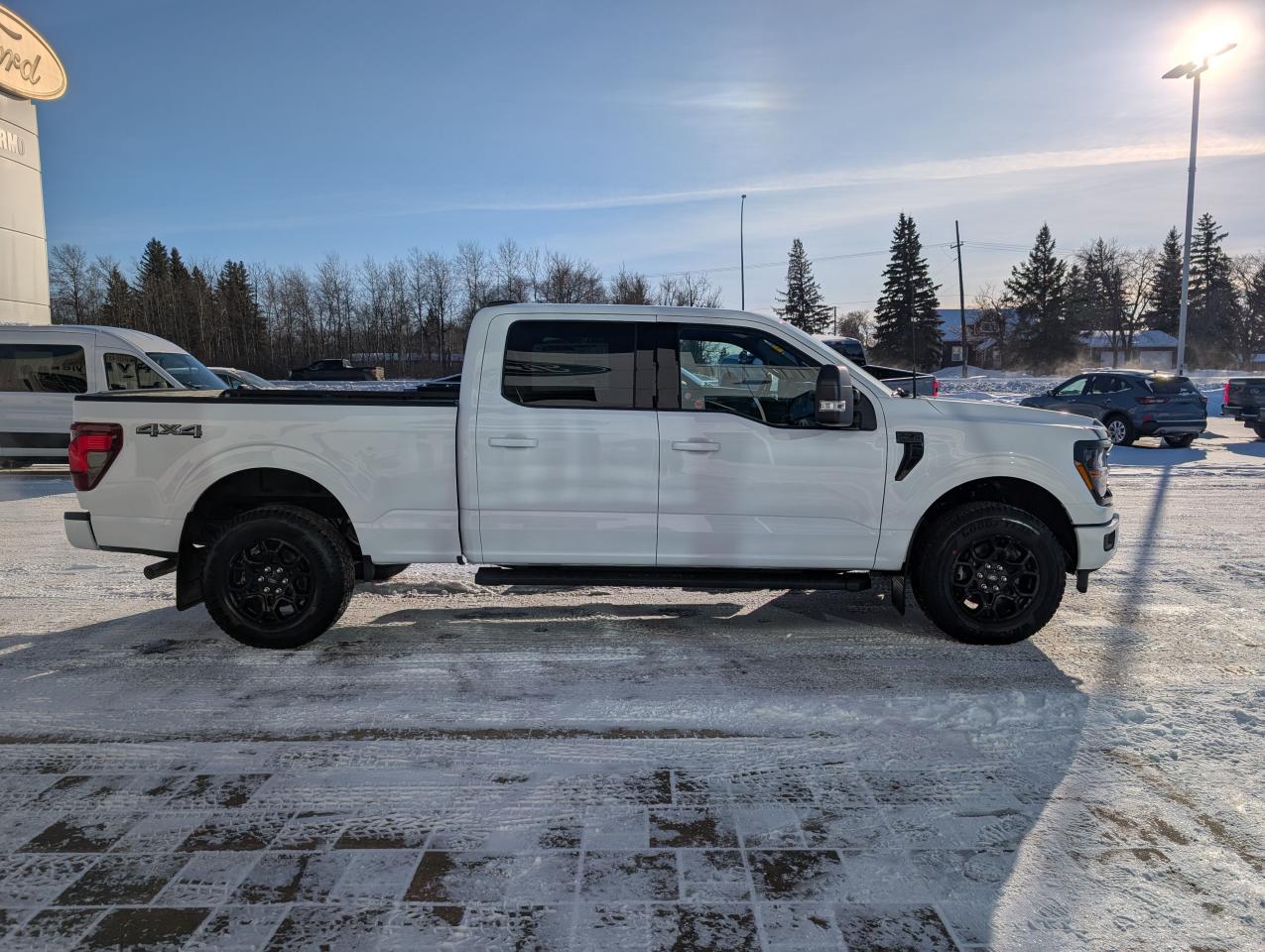 2026 Ford F-150 XLT Photo4