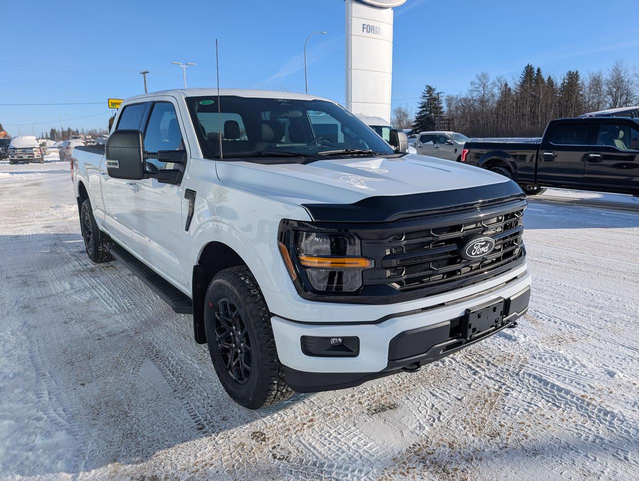 2026 Ford F-150 XLT Photo3