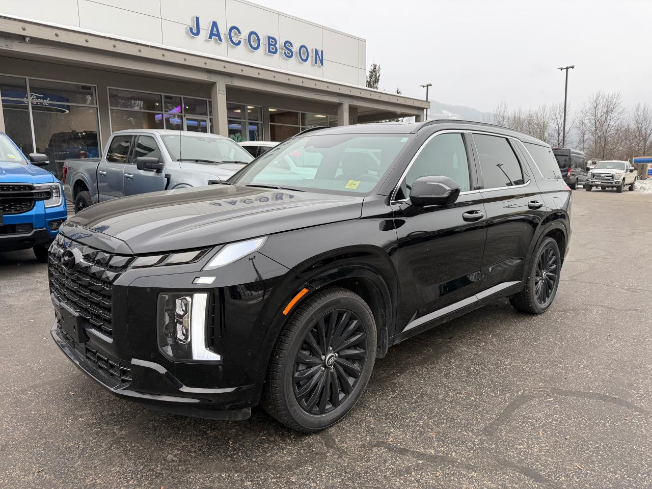 2025 Hyundai PALISADE Ultimate Calligraphy Night Photo0