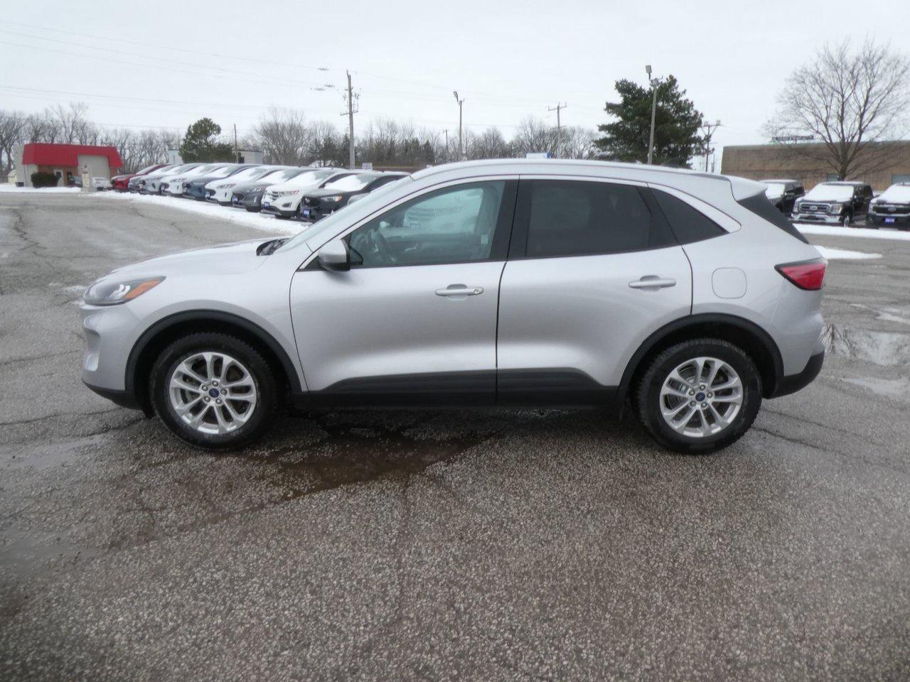 2020 Ford Escape SE SE Photo