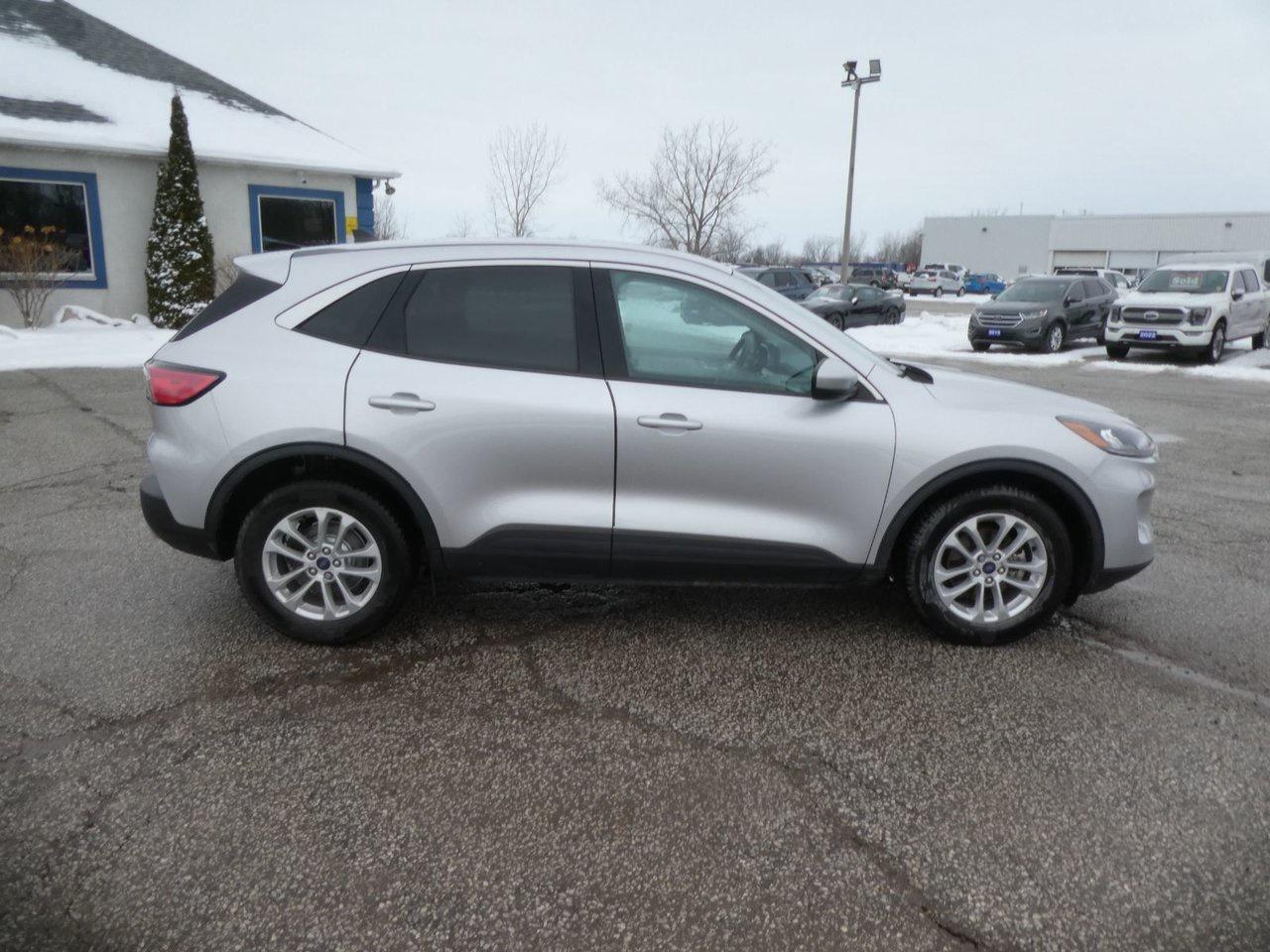 2020 Ford Escape SE SE Photo