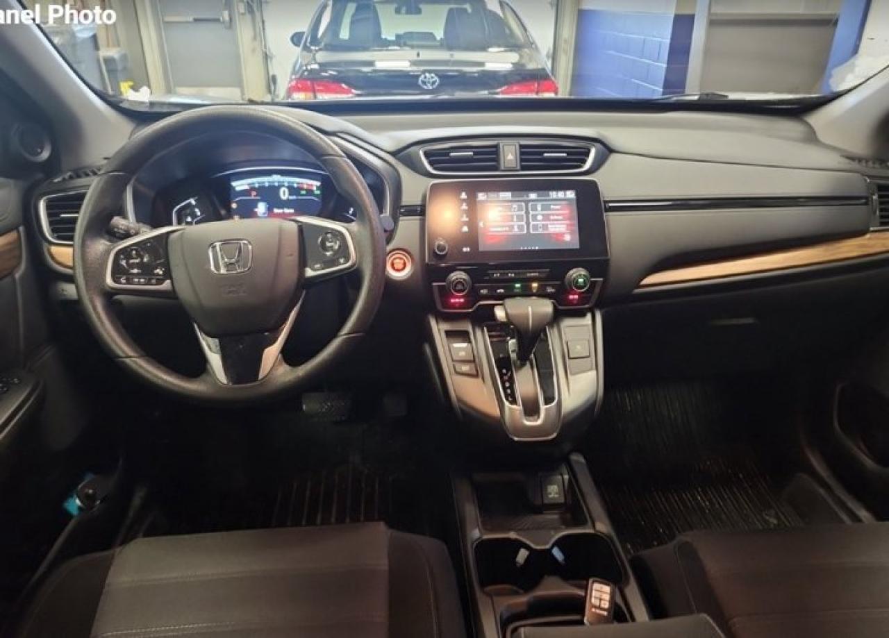 2019 Honda CR-V EX AWD | Sunroof | Adaptive Cruise | Heated Seats | Power Seat | CarPlay + Android | and More ! Photo3