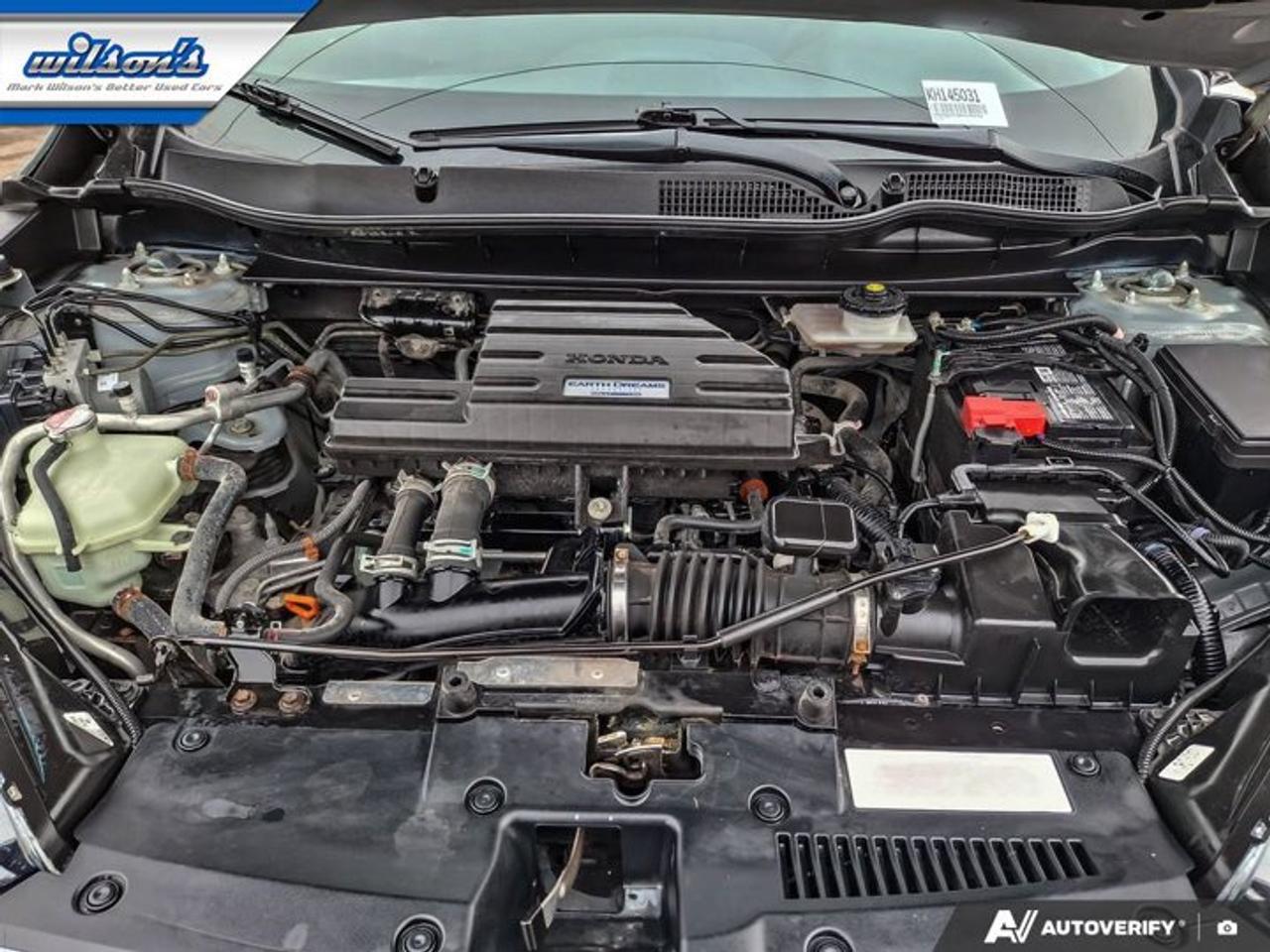 2019 Honda CR-V EX AWD | Sunroof | Adaptive Cruise | Heated Seats | Power Seat | CarPlay + Android | and More ! Photo