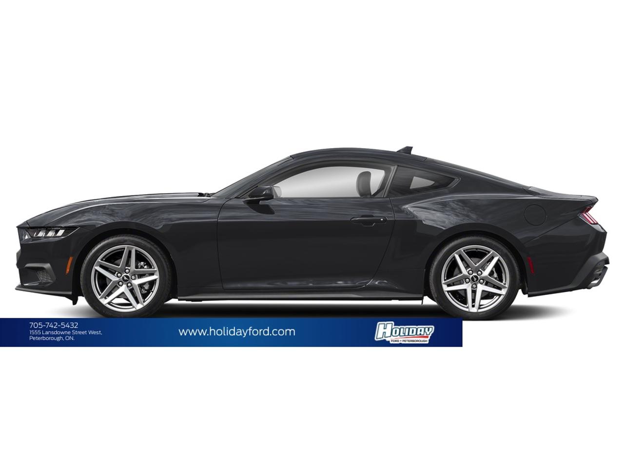 2026 Ford Mustang EcoBoost Photo