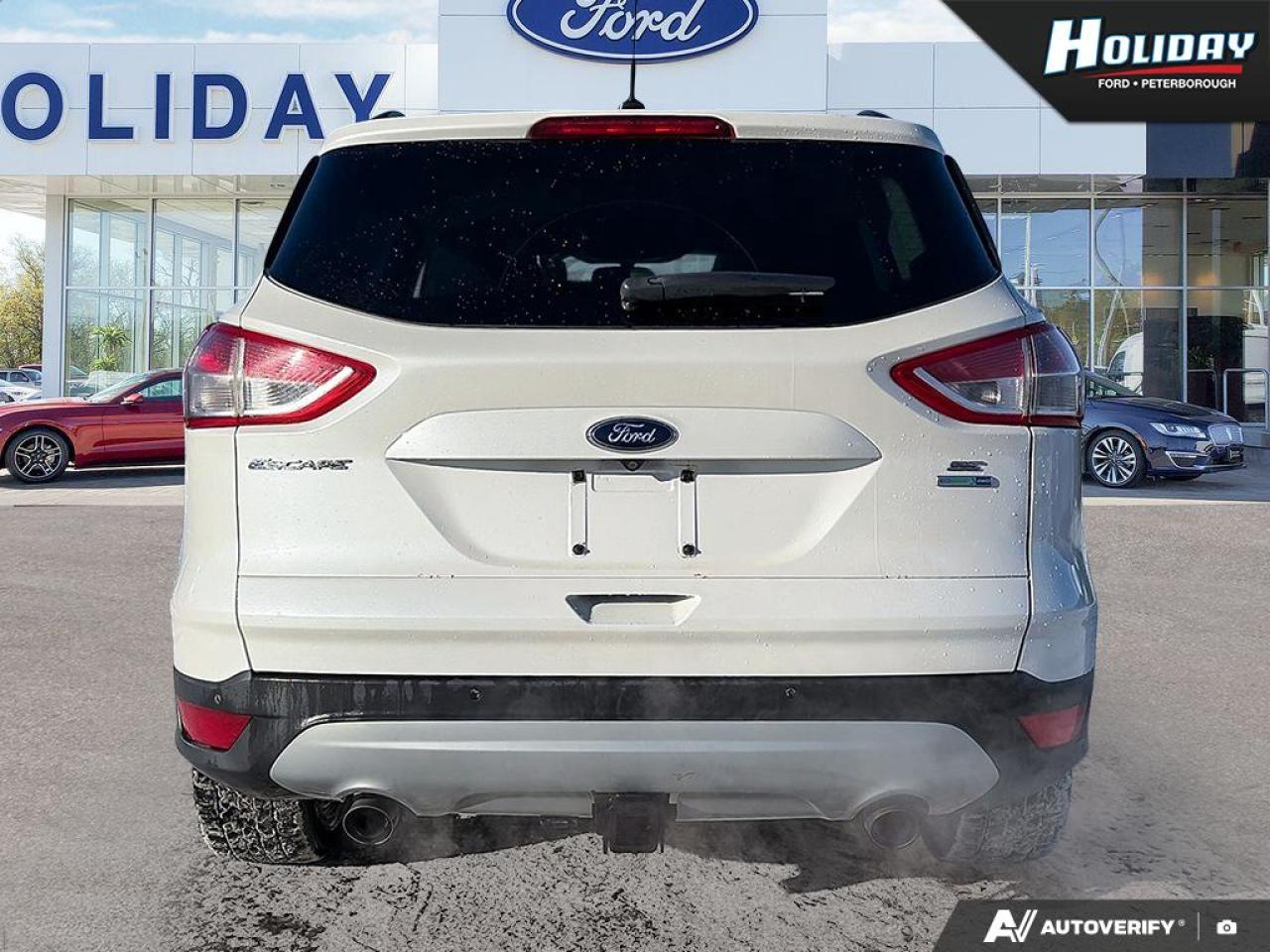 2014 Ford Escape SE Photo4