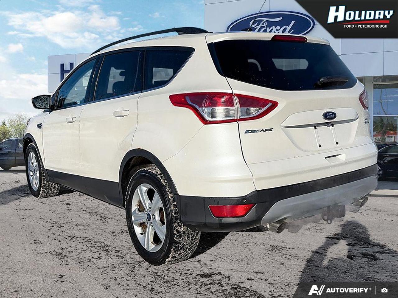 2014 Ford Escape SE Photo