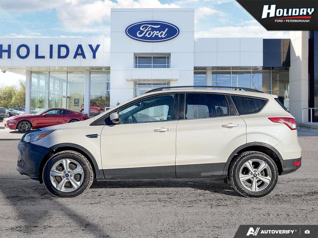 2014 Ford Escape SE Photo2