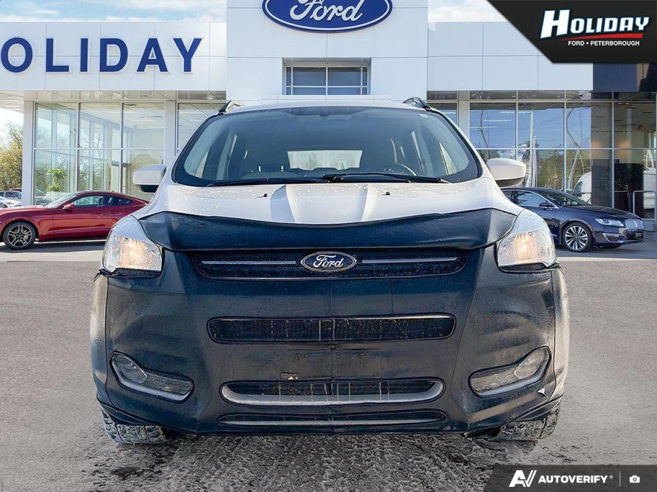 2014 Ford Escape SE Photo