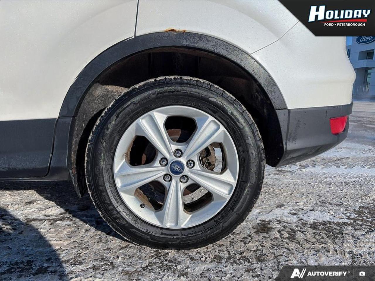 2014 Ford Escape SE Photo