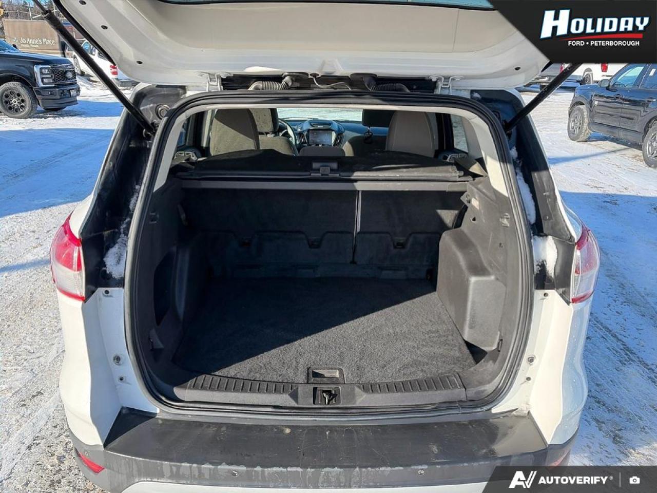 2014 Ford Escape SE Photo