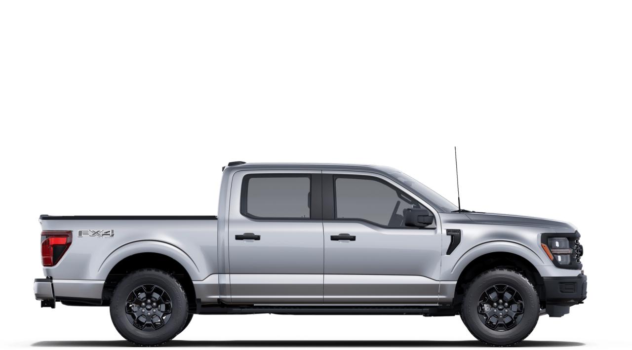 2025 Ford F-150  Photo4