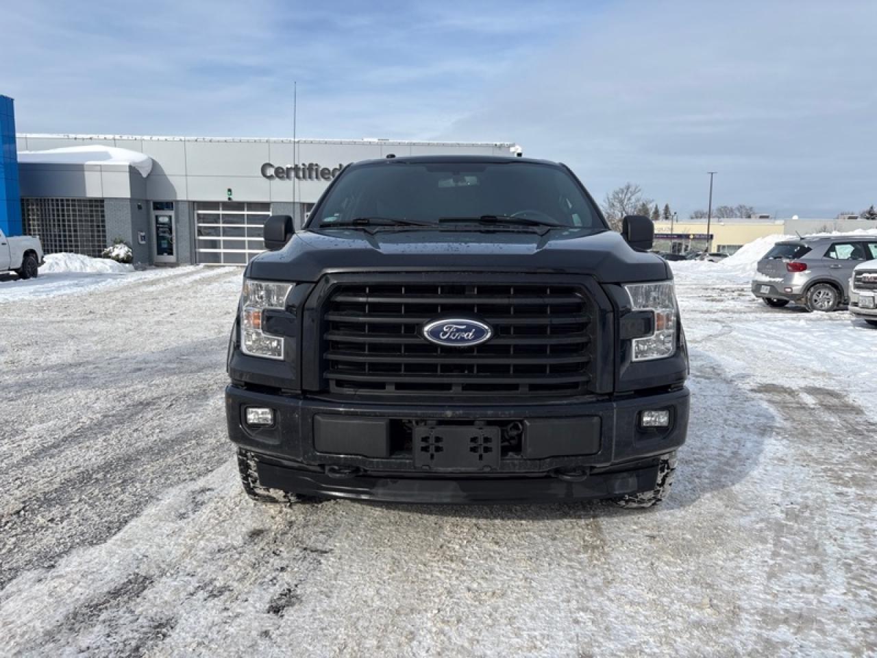 2017 Ford F-150 XLT Photo