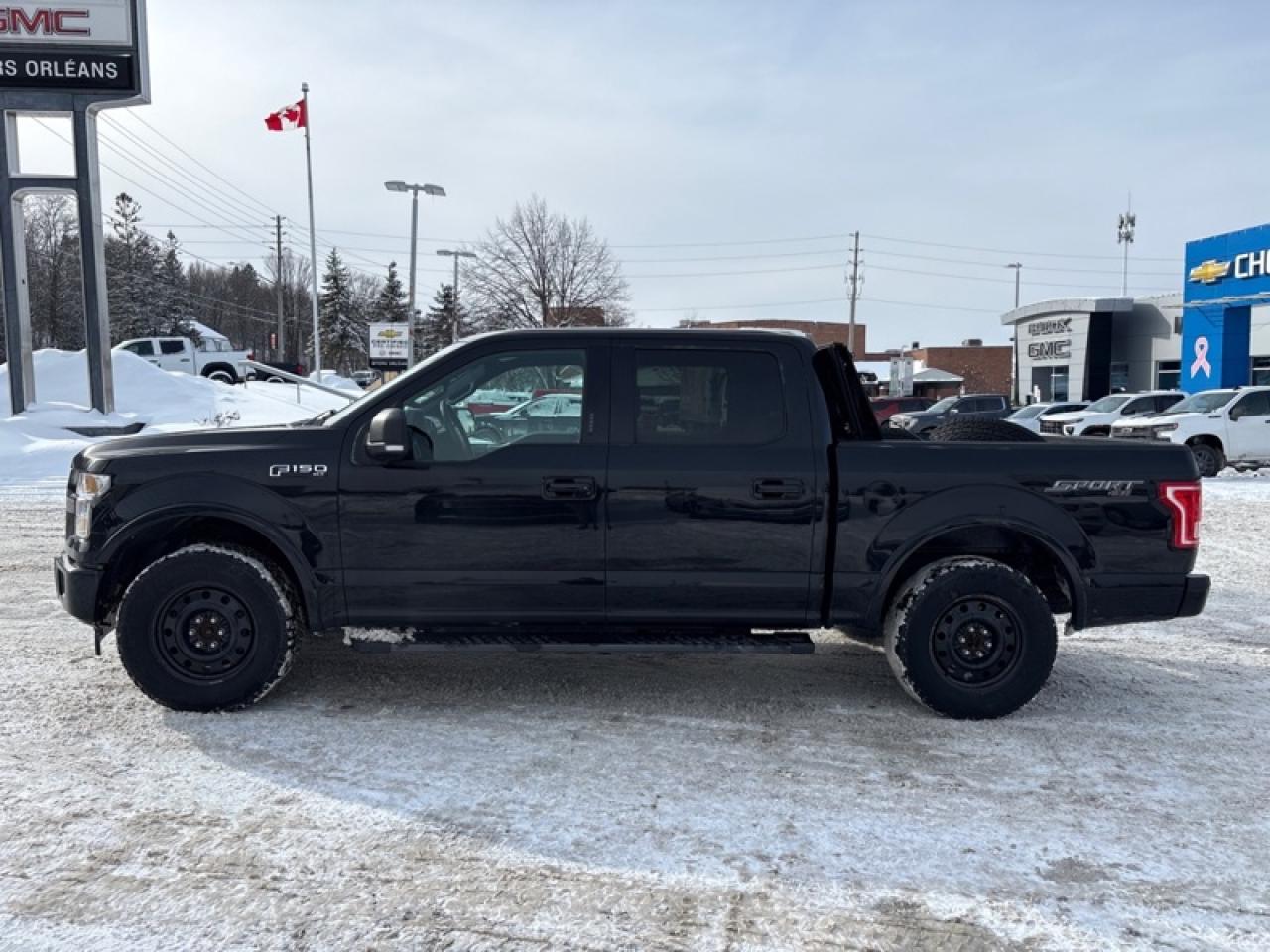 2017 Ford F-150 XLT Photo