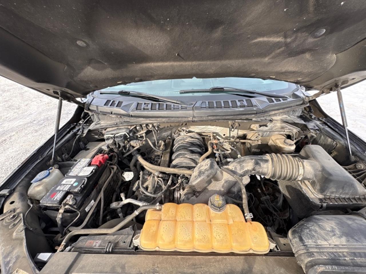 2017 Ford F-150 XLT Photo