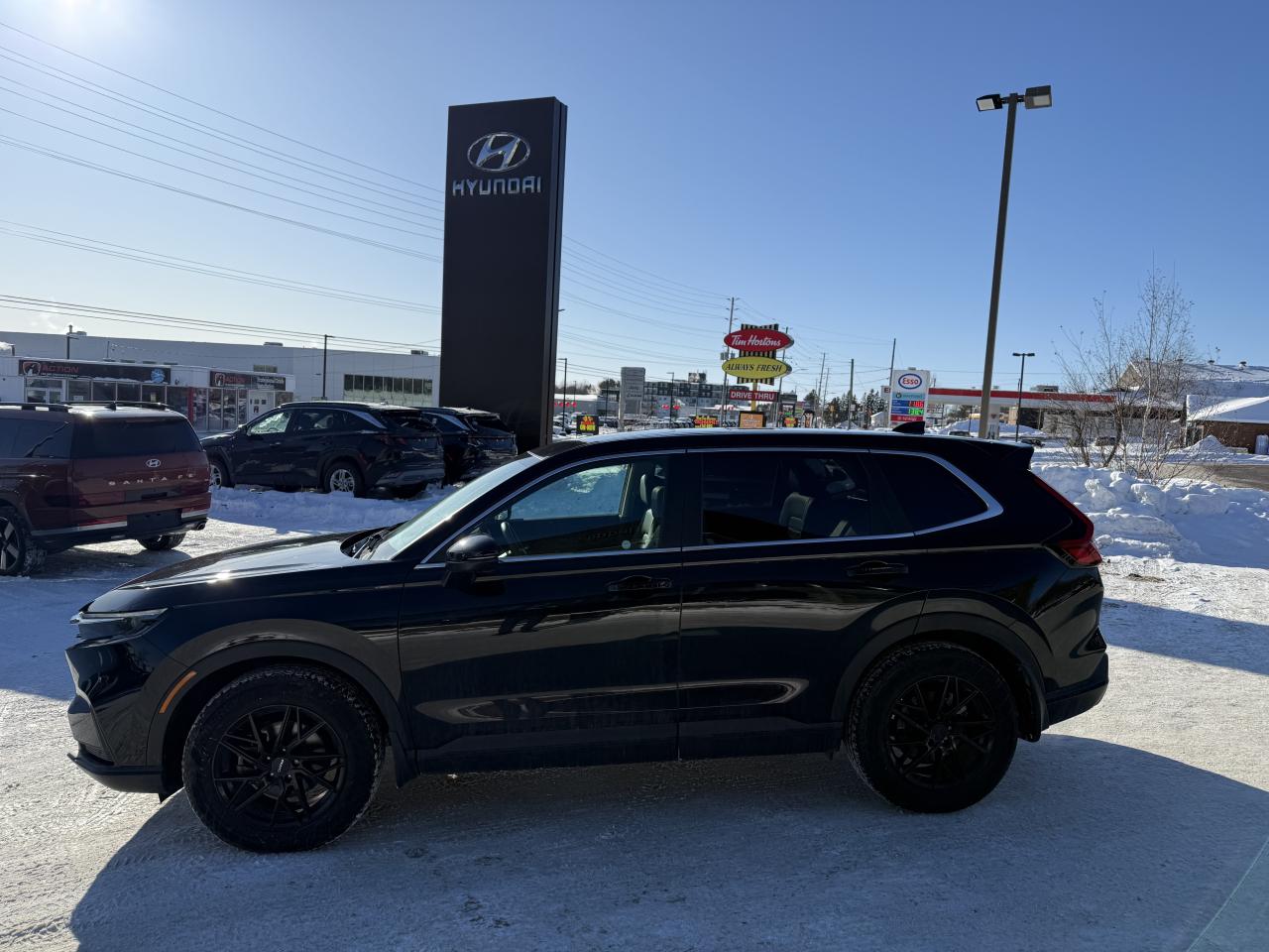 2024 Honda CR-V EX-L Photo