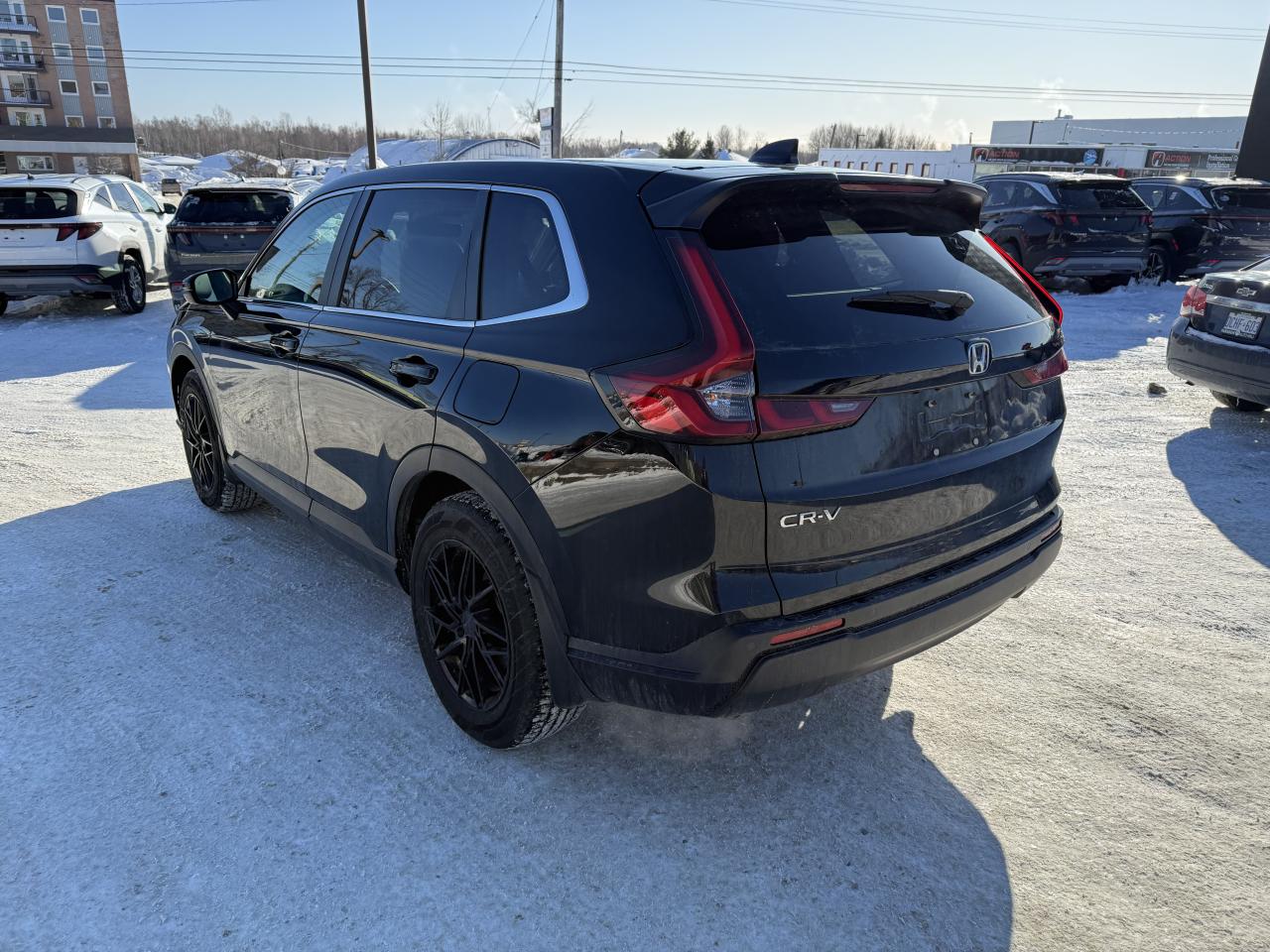 2024 Honda CR-V EX-L Photo