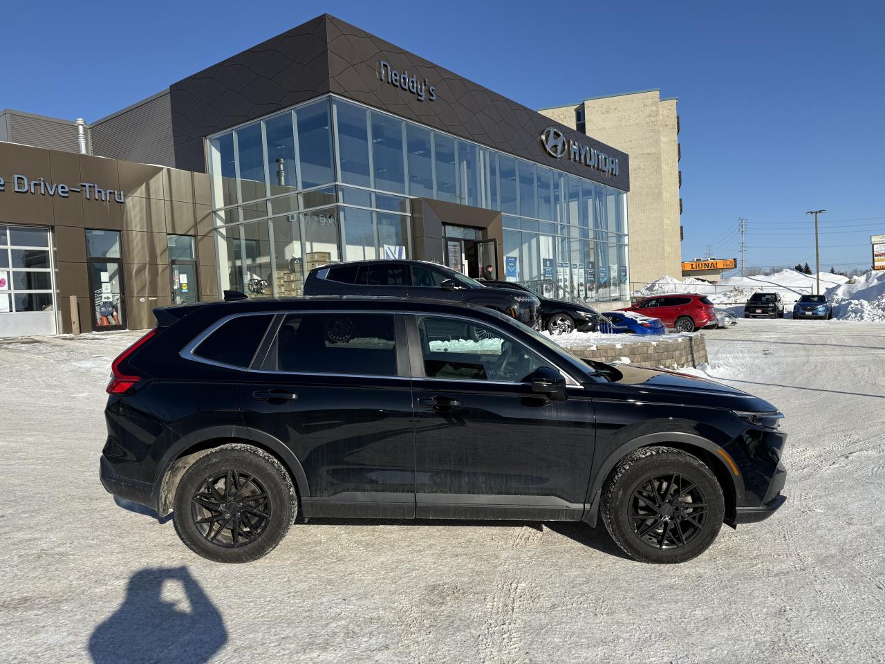 2024 Honda CR-V EX-L Photo