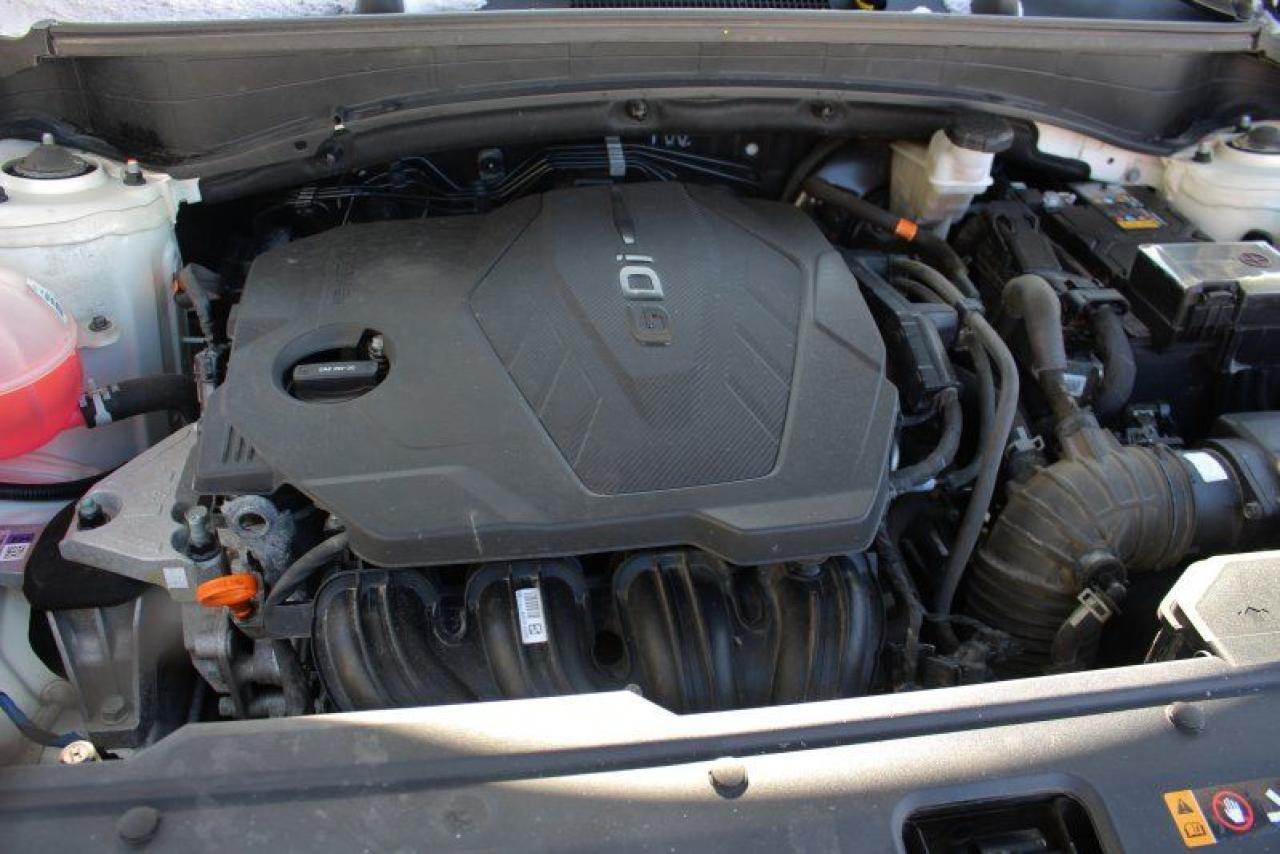 2024 Kia Sportage LX*4x4*Heated Seats*CarPlay*Rear Cam*2.4L-4cyl Photo