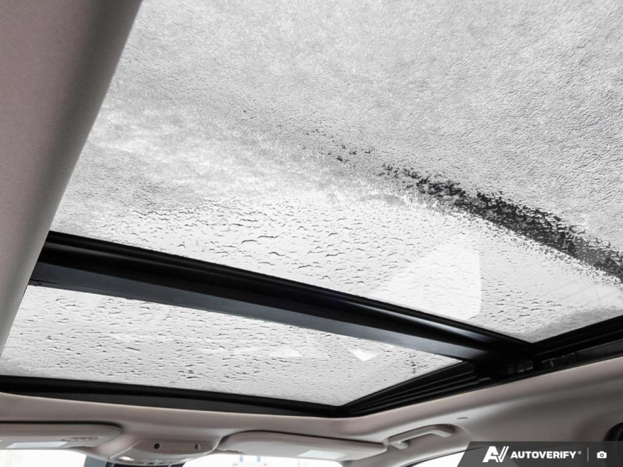 2021 Ford Expedition Platinum 600A | HEAVY DUTY TRAILER TOW PACKAGE | NAVIGATION Photo