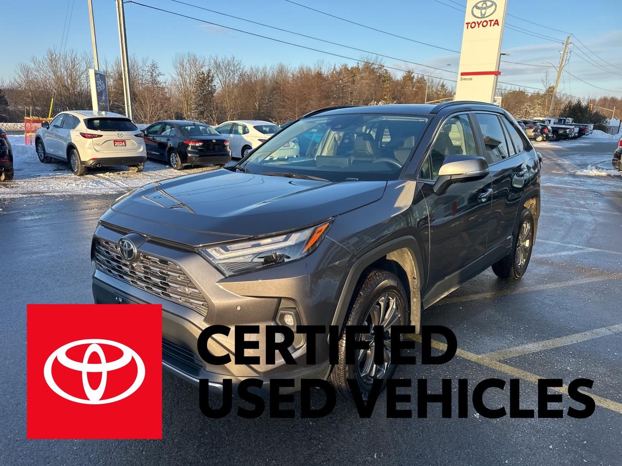 2025 Toyota RAV4 Hybrid Limited Photo