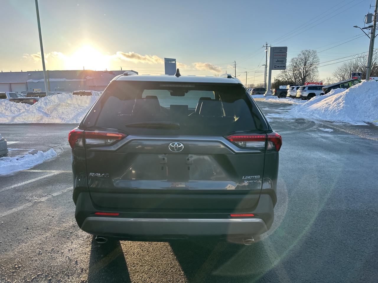 2025 Toyota RAV4 Hybrid Limited Photo