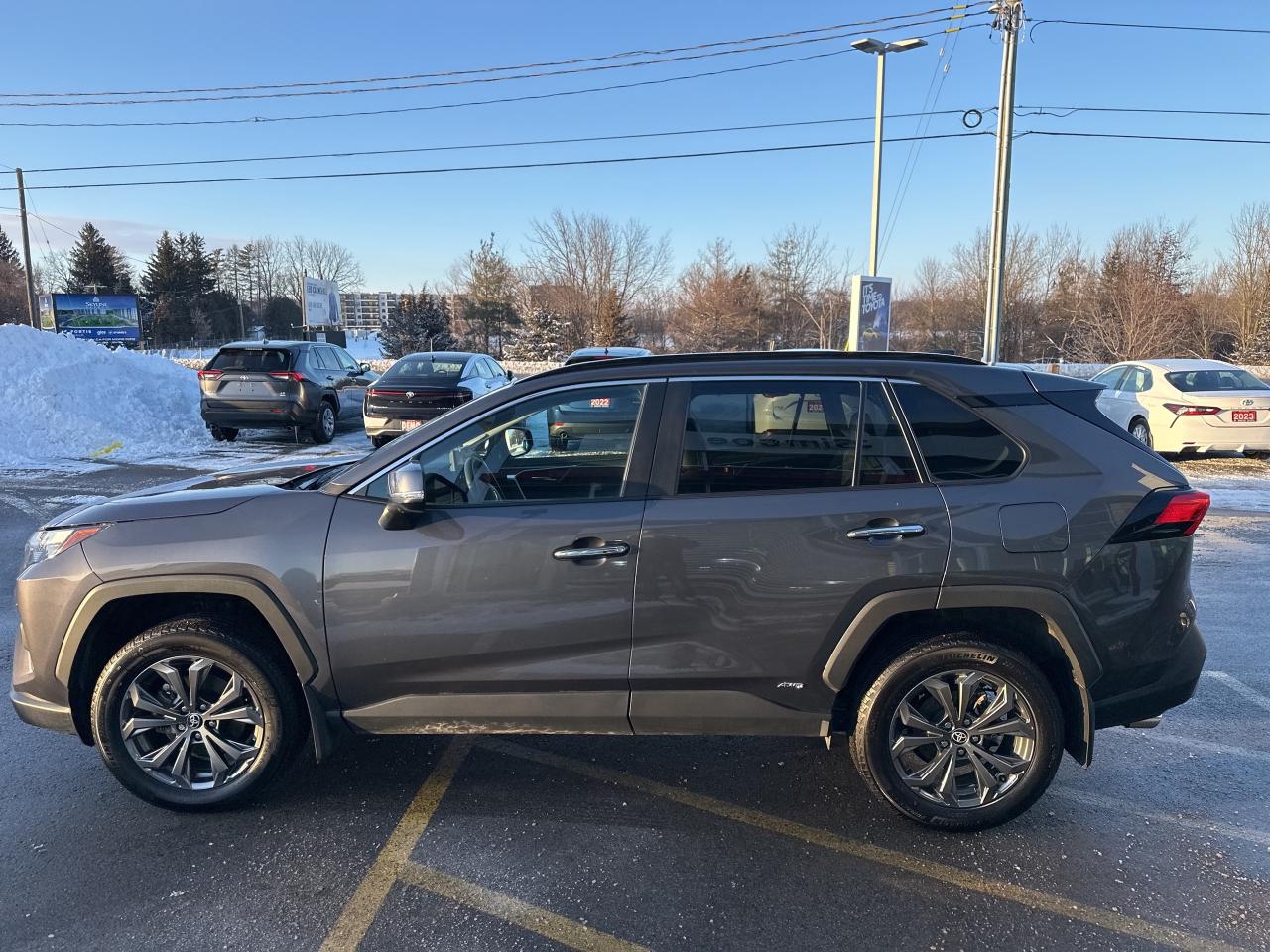 2025 Toyota RAV4 Hybrid Limited Photo