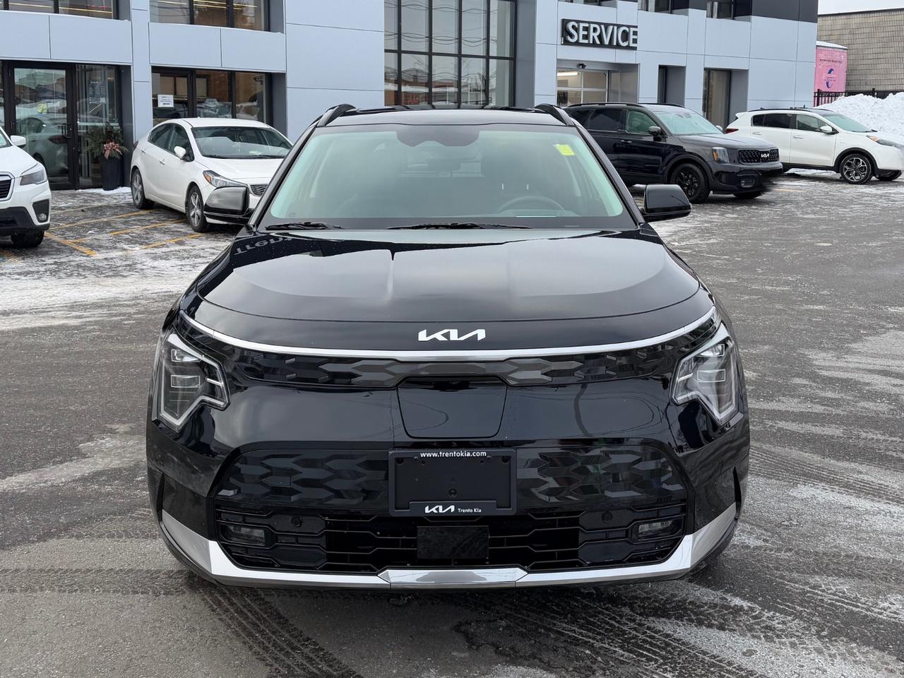 2026 Kia NIRO EV WAVE Photo