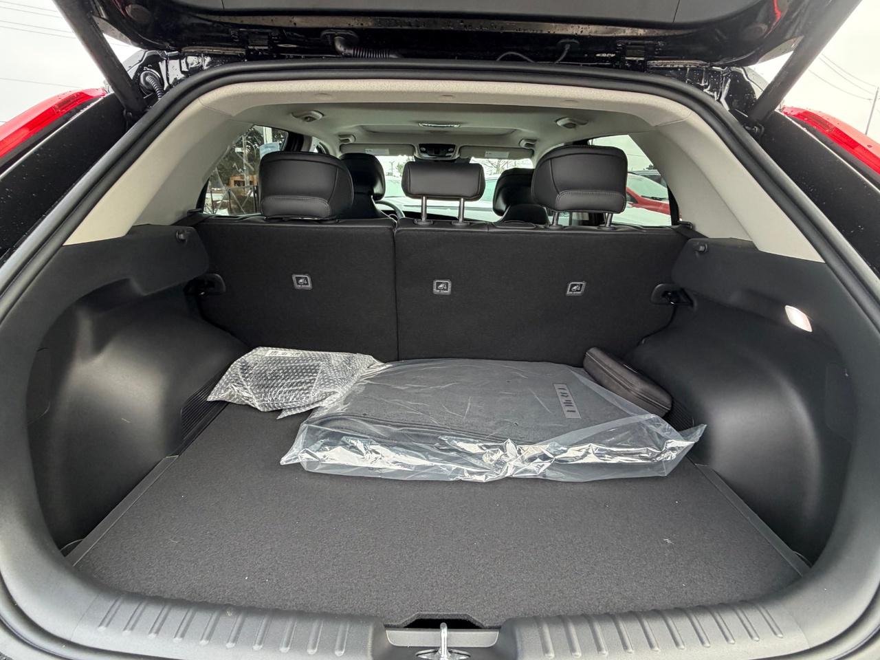 2026 Kia NIRO EV WAVE Photo