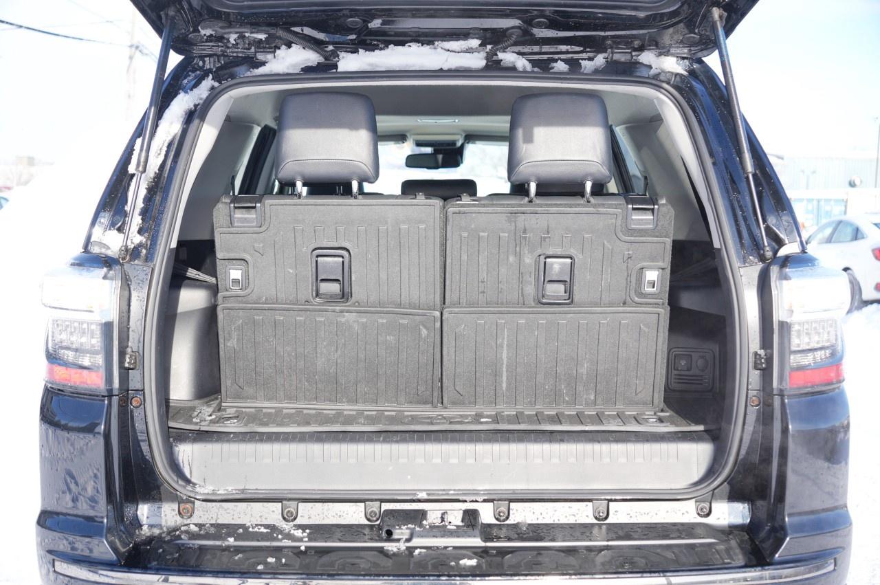 2020 Toyota 4Runner V6 Photo