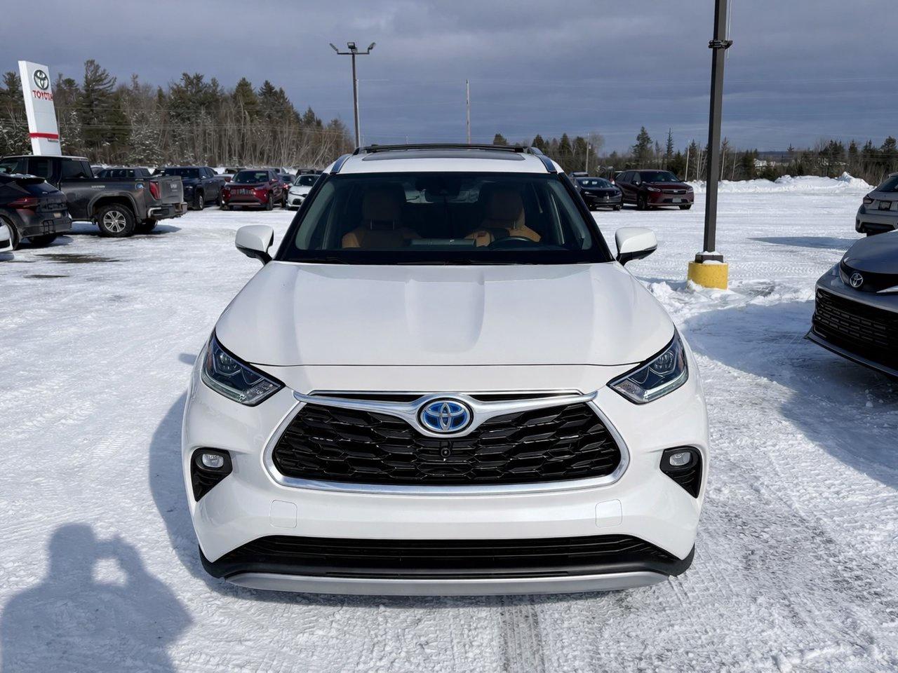 2023 Toyota Highlander Hybrid Limited Photo