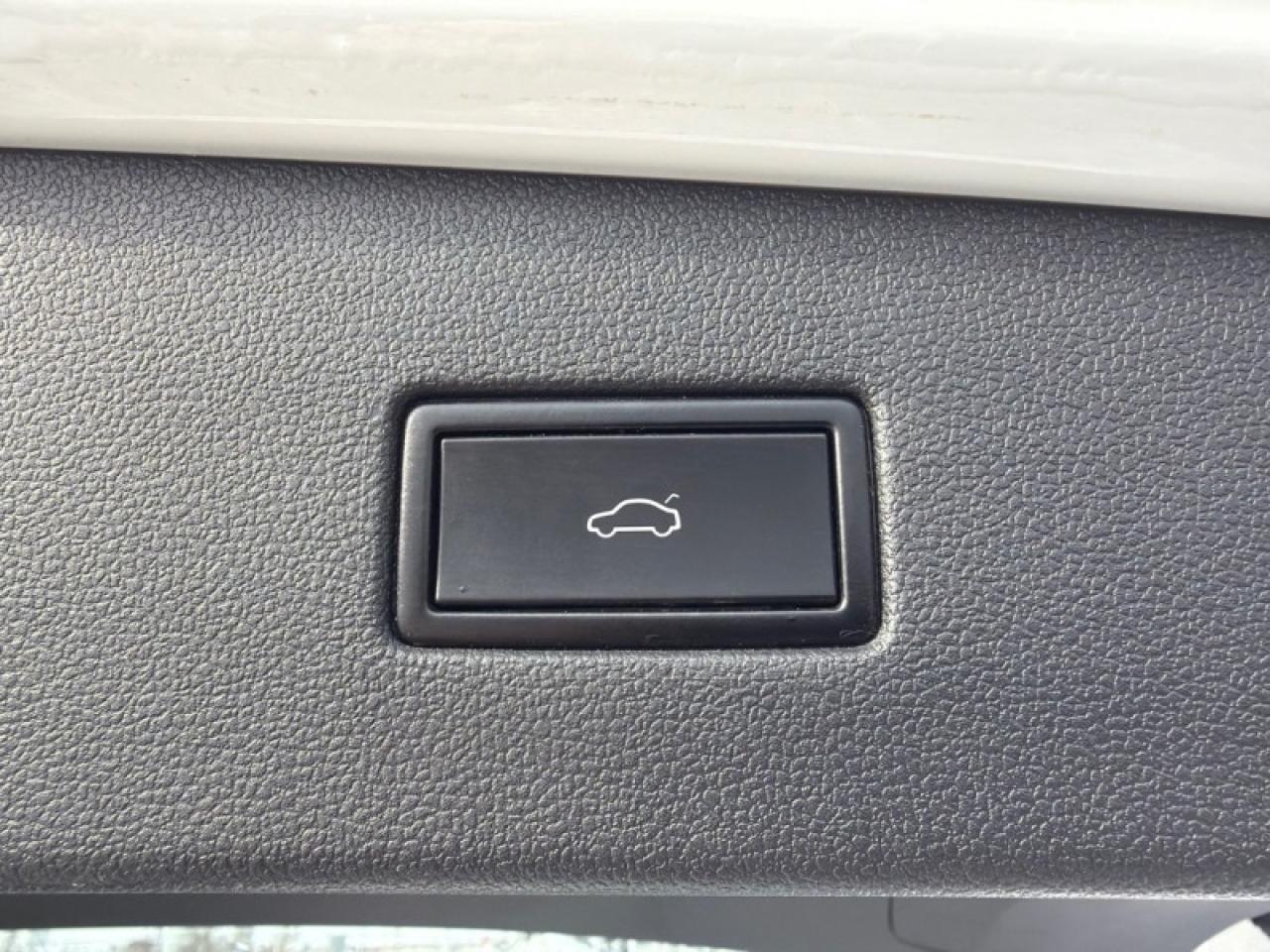 2021 Volkswagen Tiguan Highline 4MOTION  - Sunroof Photo