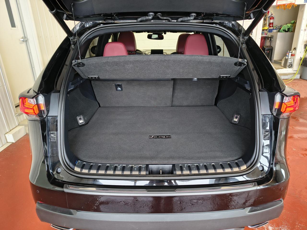 2017 Lexus NX 200t F Sport 3 Photo0