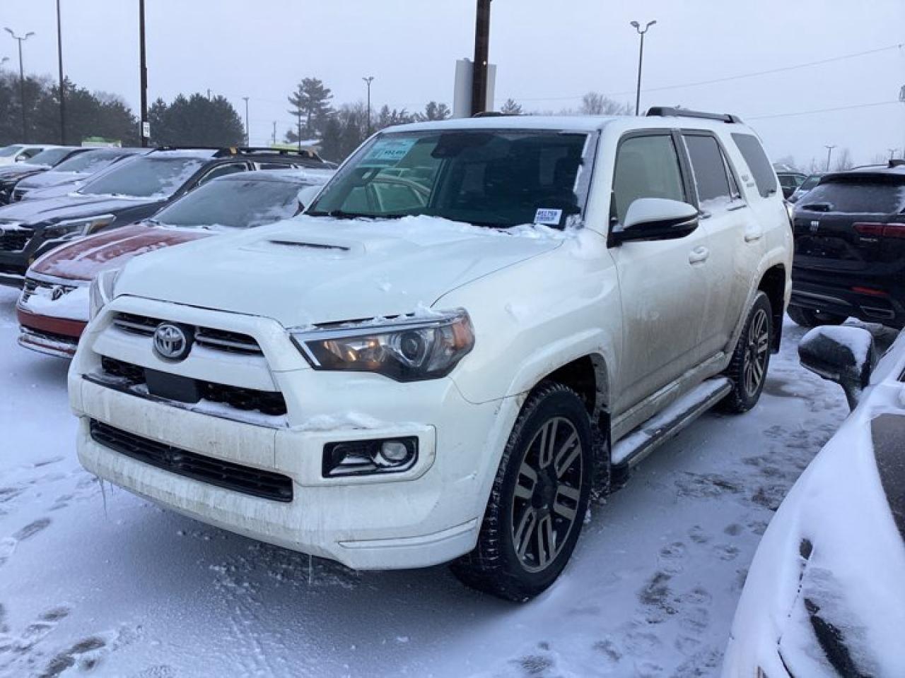 2022 Toyota 4Runner TRDSPORT Photo