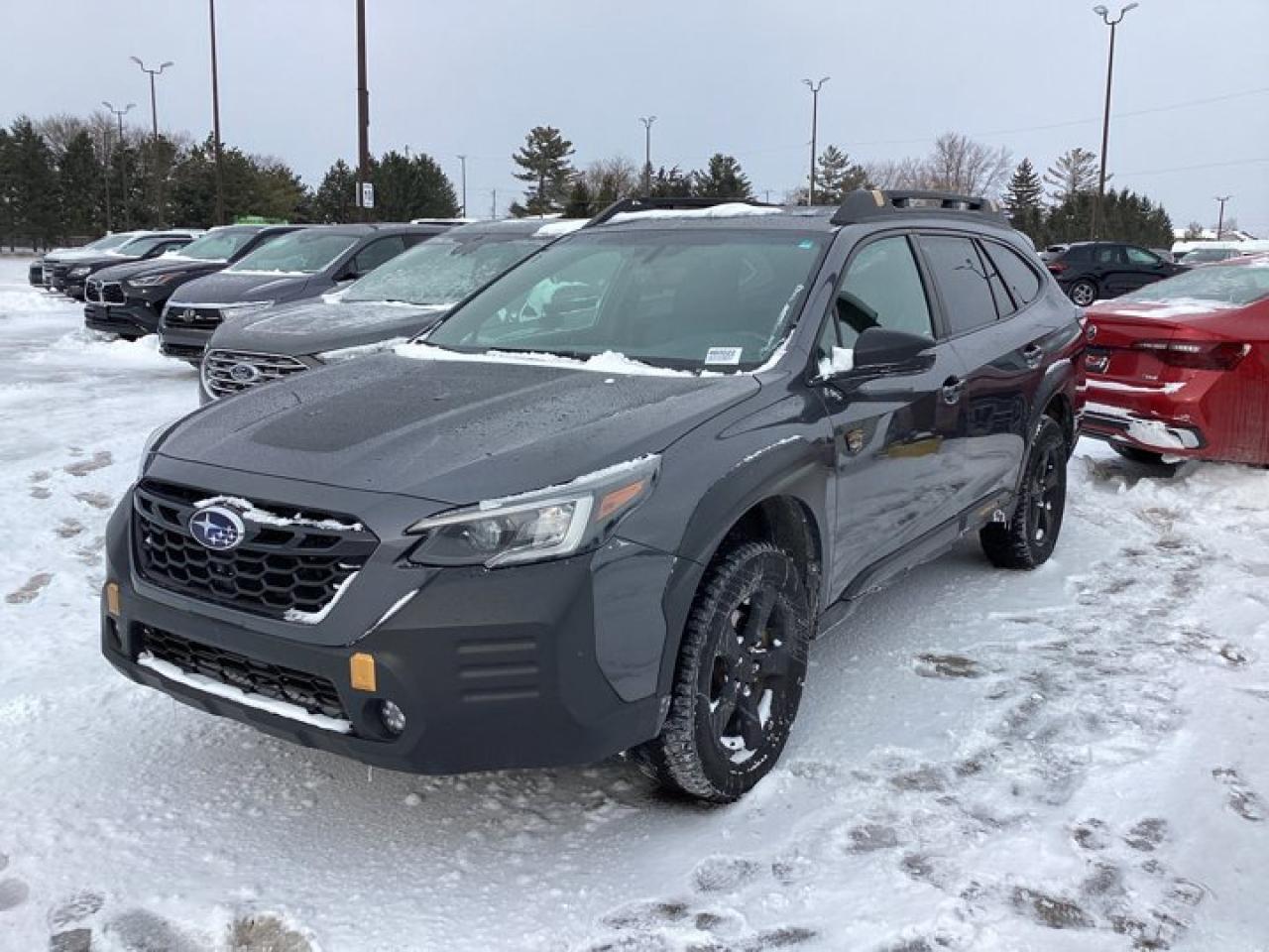 2022 Subaru Outback WILDERNESS Photo