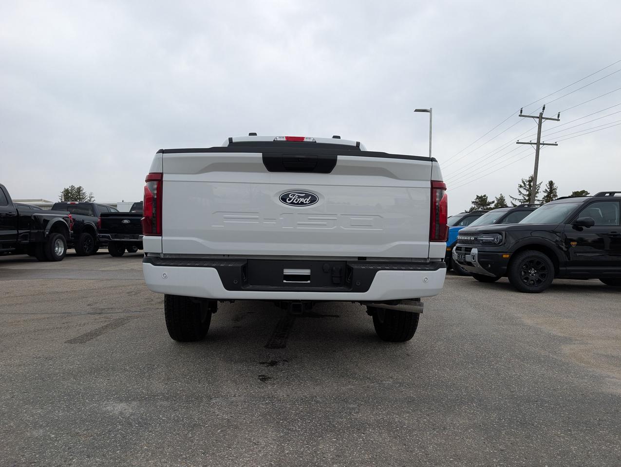 2026 Ford F-150 XLT SuperCrew 300A 4x4 Photo4