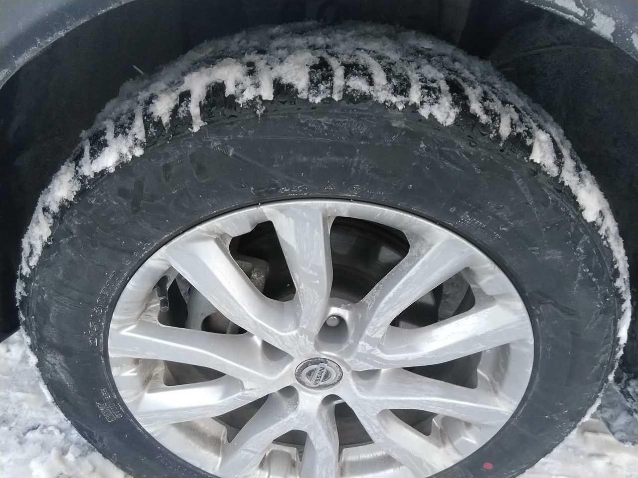 2023 Nissan Qashqai SV Photo