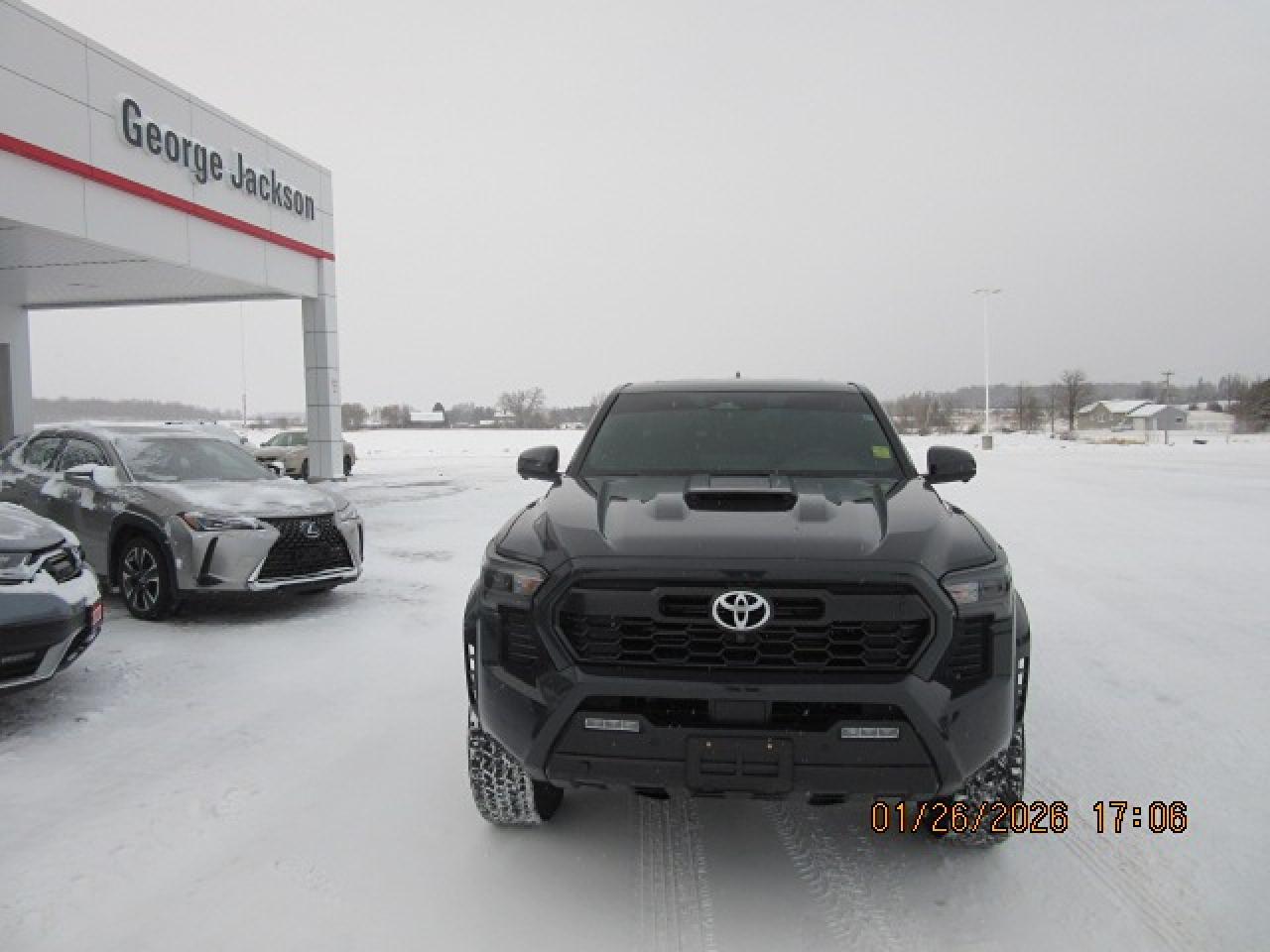 2025 Toyota Tacoma TRD SPORT PREMIUM Photo