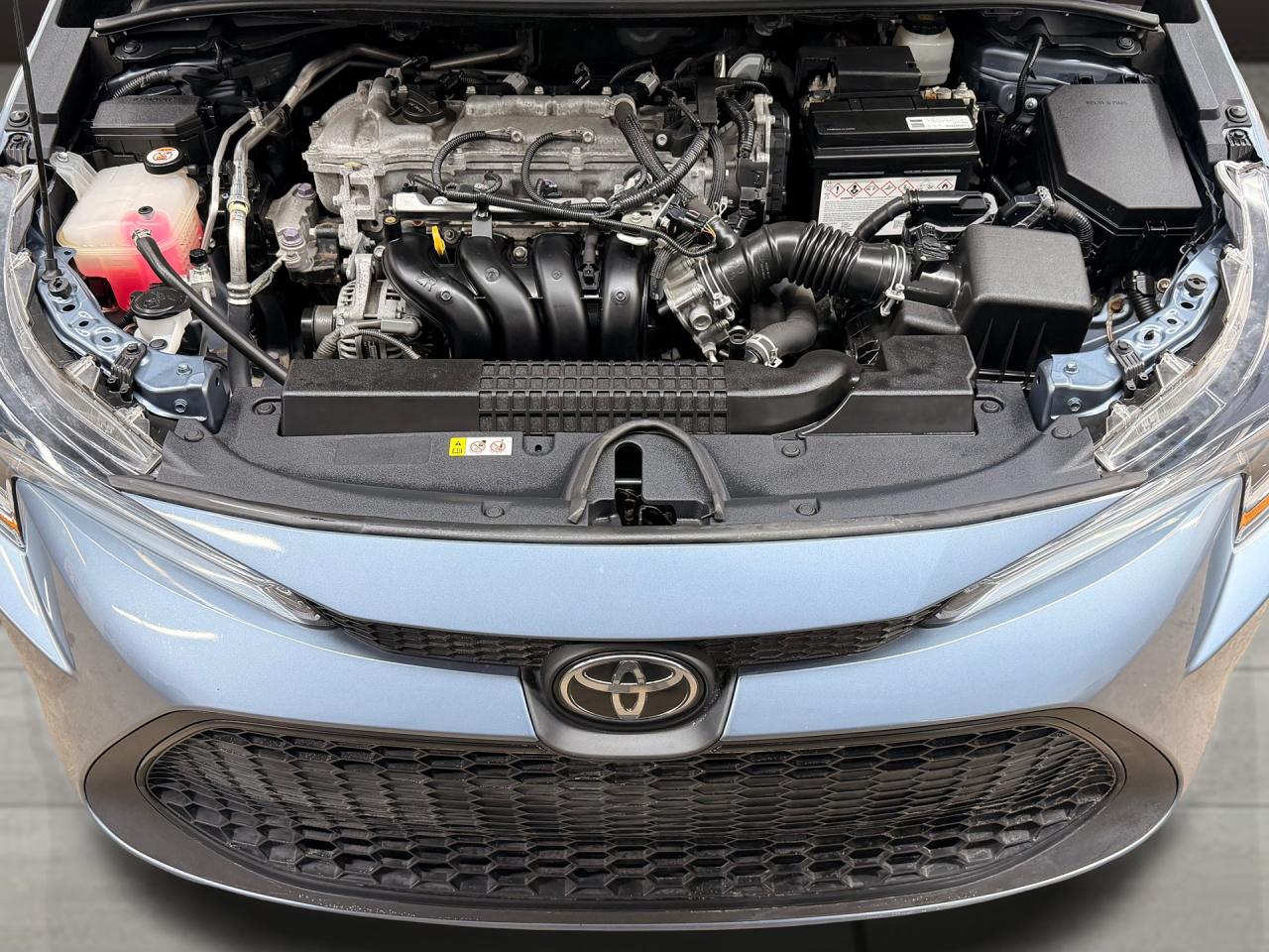 2020 Toyota Corolla LE+New Brakes+Adaptive Cruise+CLEAN CARFAX Photo11