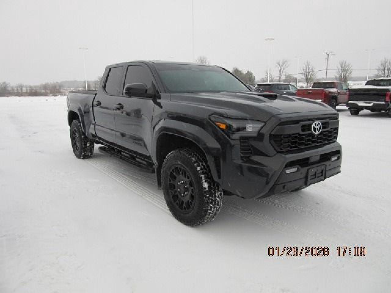 2025 Toyota Tacoma TRD SPORT PREMIUM Photo