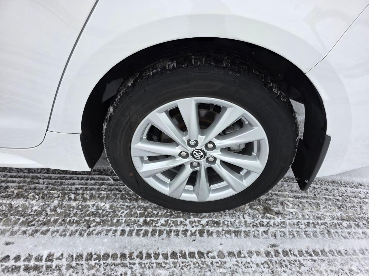 2024 Toyota Corolla LE 4DR SEDAN Photo