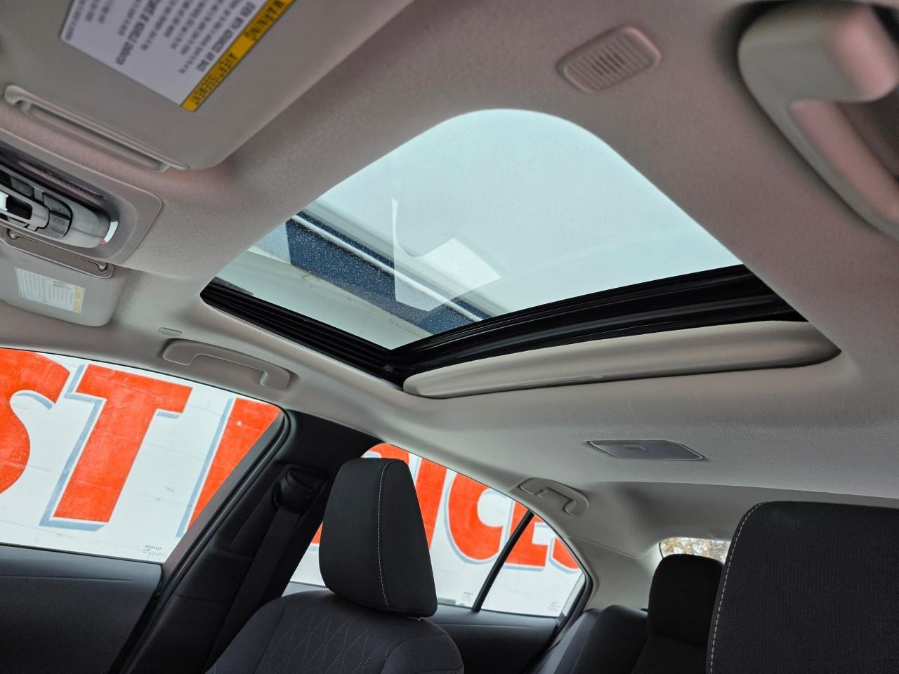 2024 Toyota Corolla LE 4DR SEDAN Photo