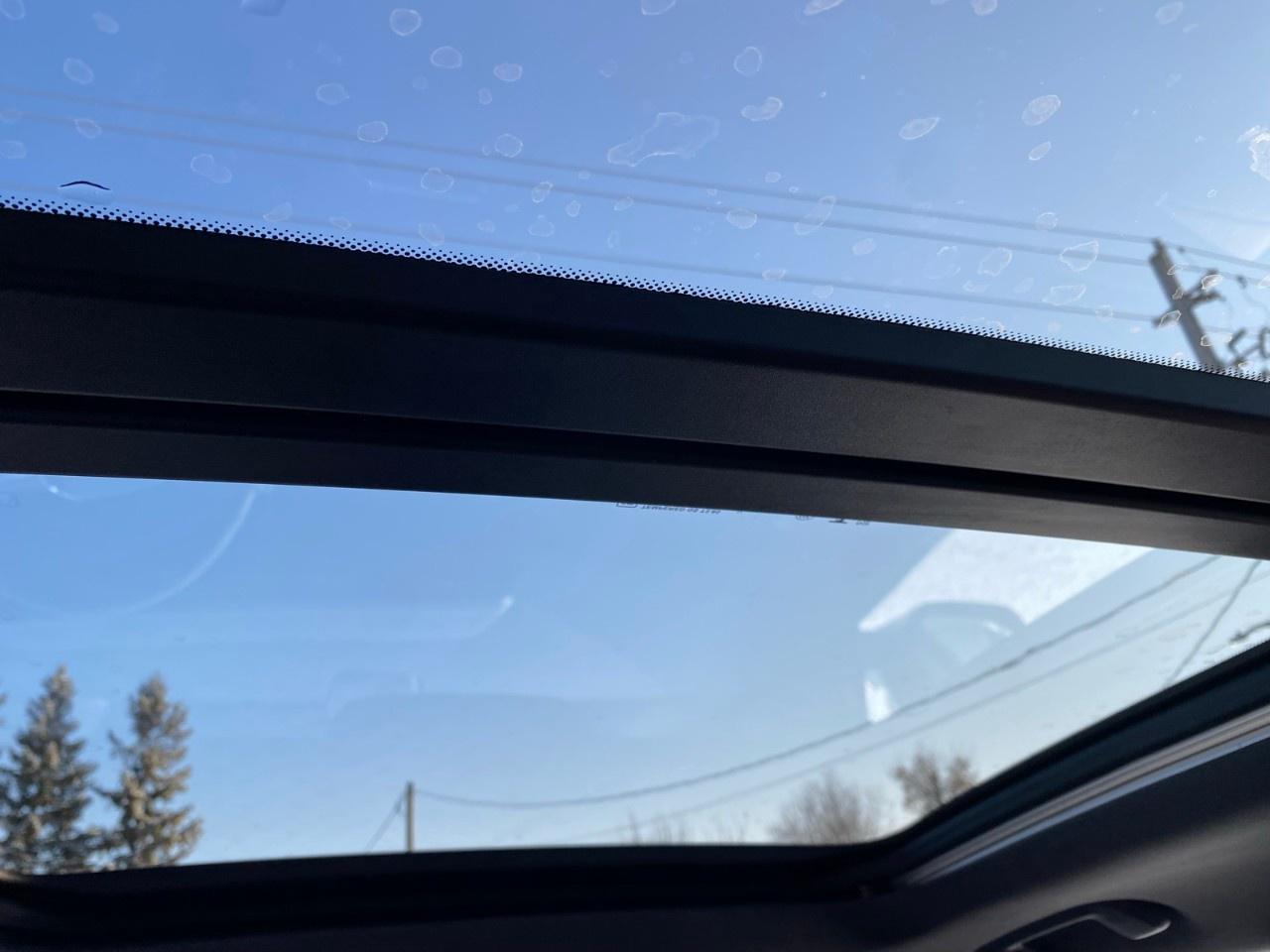 2025 GMC Terrain AWD Elevation Photo