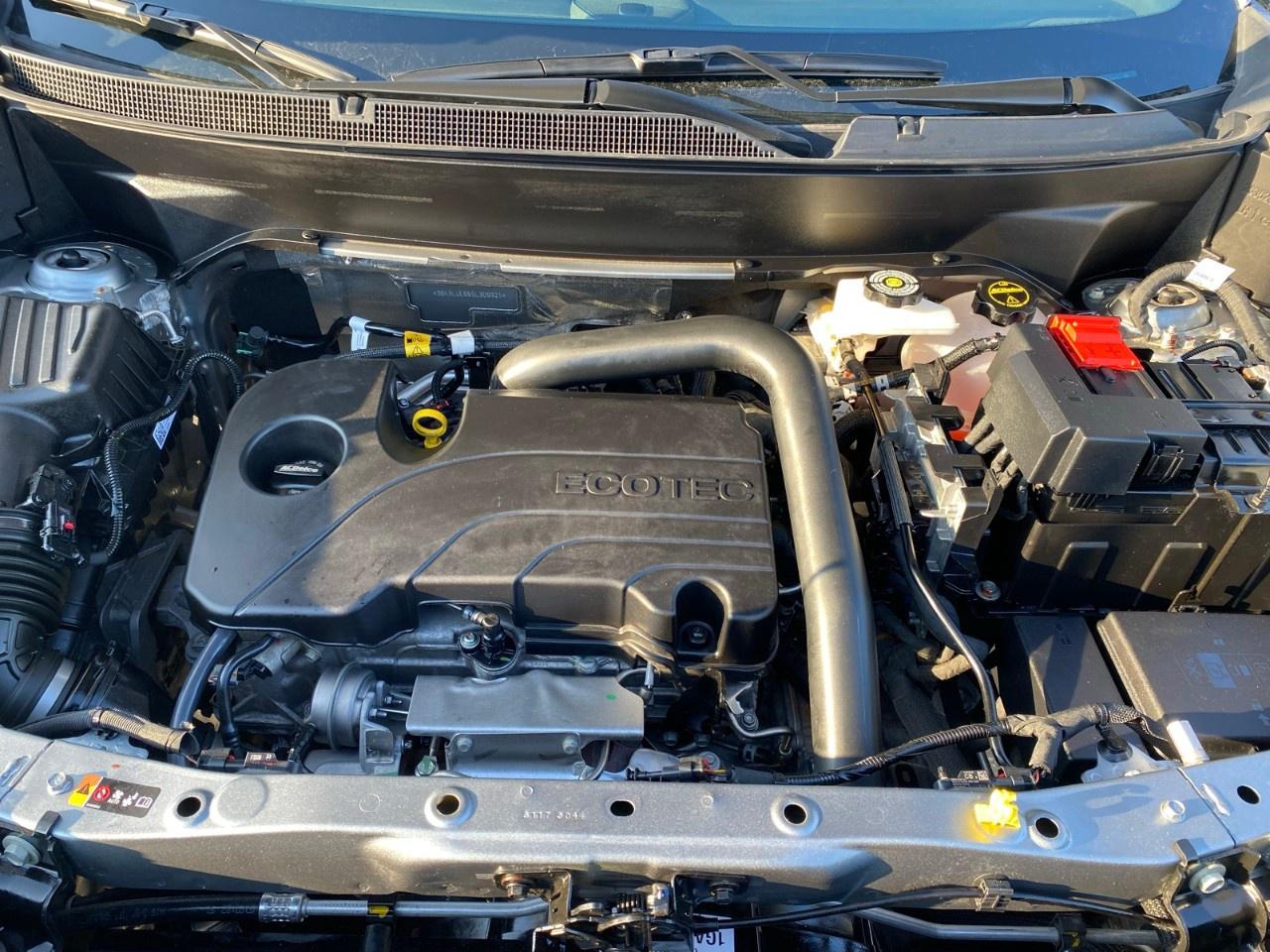 2025 GMC Terrain AWD Elevation Photo