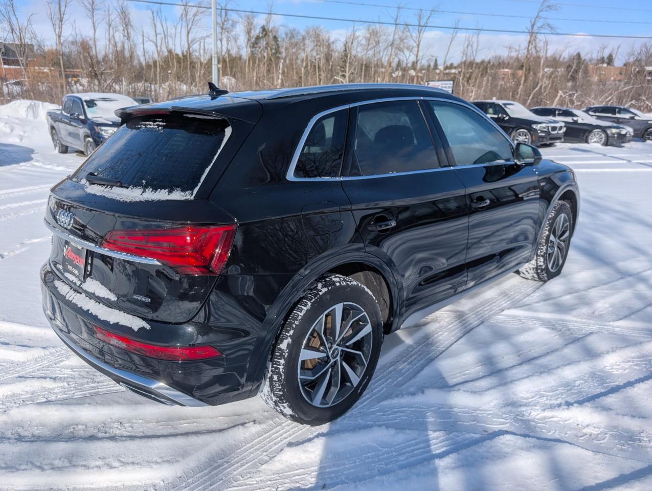 2023 Audi Q5 45 Progressiv 4dr All-Wheel Drive quattro Sport Utility Photo
