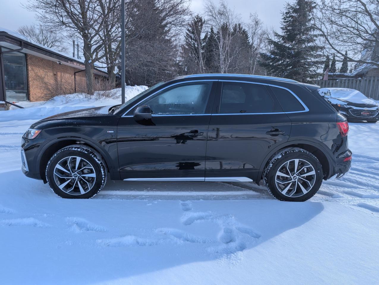 2023 Audi Q5 45 Progressiv 4dr All-Wheel Drive quattro Sport Utility Photo